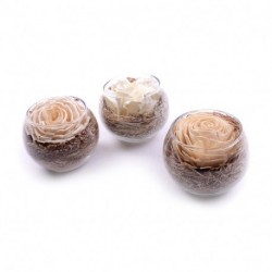 VASO CON ROSA PROFUMATA D. 9,5X8CM -