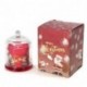 CANDELA PROFUMATA 100GR VANIGLIA&WOOD