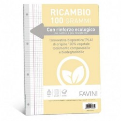 RICAMBIO RINFORZATO BIO 100GR Q A4 F4