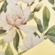 BOBINA CARTA MAGNOLIA 1X25M GIALLO CH.
