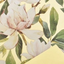 BOBINA CARTA MAGNOLIA 1X25M GIALLO CH.