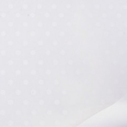 BOBINA POLKA 1X25M  - PLK 636 125