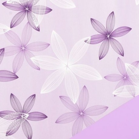 BOBINA  BLOOM WHIRL 1X25M  - BLW 6081