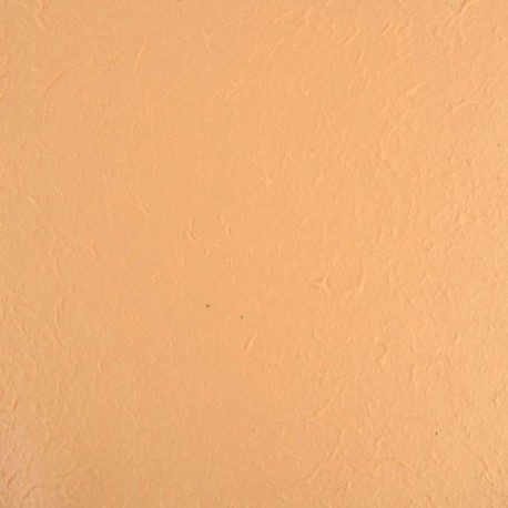 FOGLIO CARTA  55X80CM / 5PZ  - DS 37603