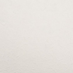 FOGLIO CARTA  55X80CM / 5PZ  - DS 37603