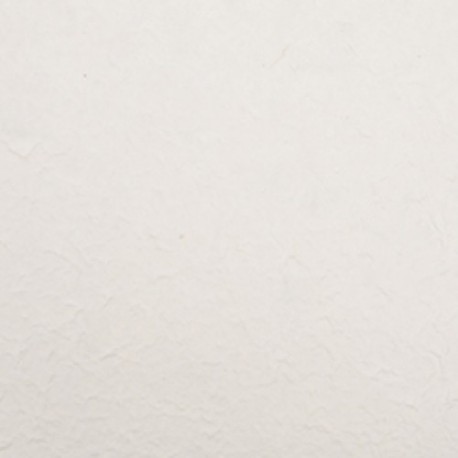 FOGLIO CARTA  55X80CM / 5PZ  - DS 37603