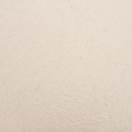 FOGLIO CARTA  55X80CM / 5PZ  - DS 37603