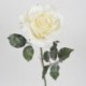ROSA SING. GHIACCIATA 58CM  - DS 06466