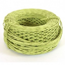 CORDA DI CARTA CON FILO  - DS 17330 12