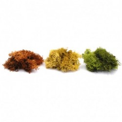 LICHENE IN BUSTA - F69-100