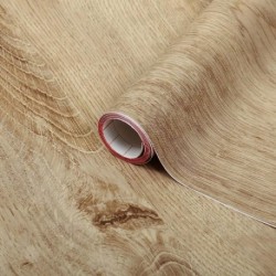 ROTOLO PLASTICA ADESIVA 45CMX15MT