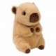 TY BEANIE 20CM BABIES20CM LARA  -