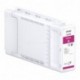 TONER EPSON MAGENTA T41F3 - C13T41F34N