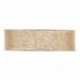 NASTRO SHINE MM25X30MT CHAMPAGNE  -
