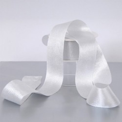 NASTRO FABULOUS MM40X10MT SILVER  -