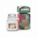 YANKEE CANDLE GIADA 104GR. PICCOLA