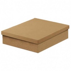 SCATOLA F/C-DP 250X250X60 ONDA AVANA