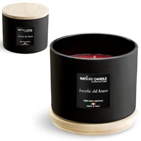 CANDELA BACHE NEL BOSCO 380GR.DOLOMITI