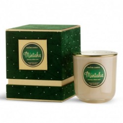 CANDELA 210GRLE STELLE - 25254503