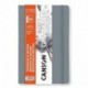 BLOCCO CANSON ASK&NOTES GRADUATE 90GR