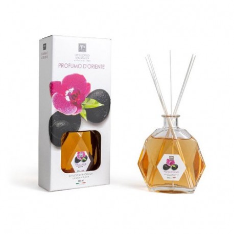 DIFFUSORE DI ESSENZA BOTT.ESAG.300ML