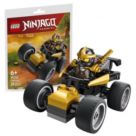 LEGO 30723 RECRUITMENT BAGS AUTO NINJA D