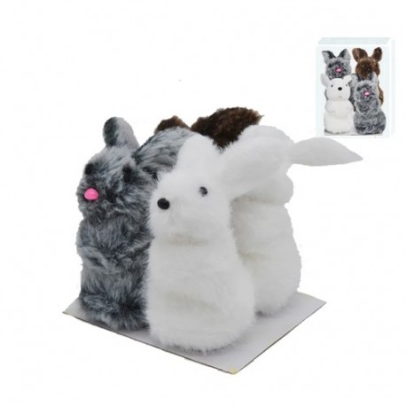 CONF. TRASP.C/4 CONIGLIETTI ,  ASS.  -