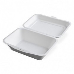 CONTENITORE PASTO+COP.IN POLPA 50PZ.550