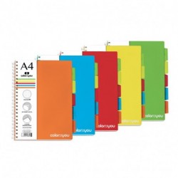 MAXI 1R SPIRALATO CON DIVISORI PPL CXY