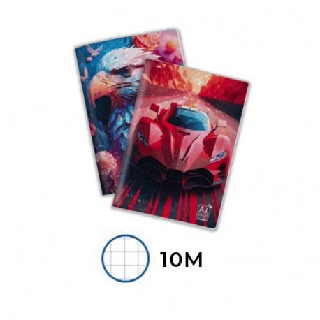 MAXI 10M 100GR. AI COLOR DREAMS 24+1
