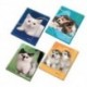 CARTELLINA 3L D12 26X35 CUCCIOLI - 8386