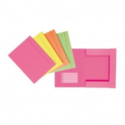 CARTELLINA 3L C/EL NEON 24,5X33 D1