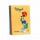 RISMA FAVINI CIRQUE F A4 80GR MIX (4) C/