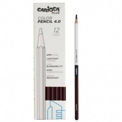 PASTELLI CARIOCA 4.0 MARRONE 12PZ -