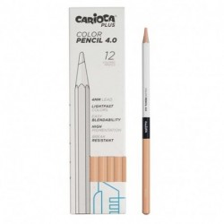 PASTELLI CARIOCA 4.0 ROSA 12PZ -